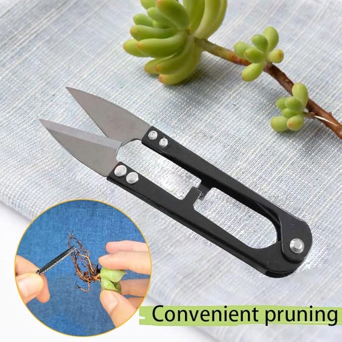 12 Pcs Succulent Tools Set Mini Transplanting Garden Tools Kit for Indoor Gardening Flower Pot Cactus Care - Image 5