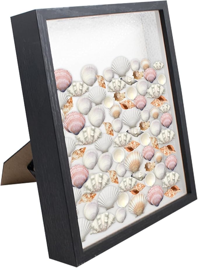 Shell Shadow Box Display Frame with Top Slot and Clear Front Panel, 8.5 x 10 Inch Black Tabletop & Wall Mounted Shadow Storage Frame for Shell, Concert Ticket, Dry Flowers, Coins, Stamps and Bills - Image 6