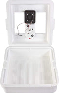 Little Giant® Digital Still Air Incubator | 41 Eggs | Egg Incubator with Temperature and Humidity Control | Chick Incubator by LittleGiant%C2%AE