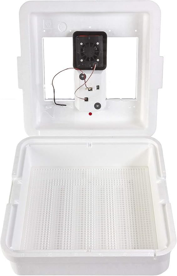 Little Giant® Digital Still Air Incubator | 41 Eggs | Egg Incubator with Temperature and Humidity Control | Chick Incubator by LittleGiant%C2%AE