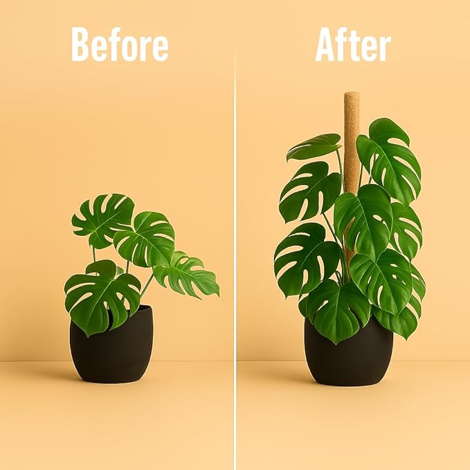 Moss Pole Monstera Plant Support – 2 Pack 28” Bendable Moss Pole Monstera Plant Support, Plant Stakes for Indoor Plants, Tall Plant Sticks Support for Climbing Plants - Image 7
