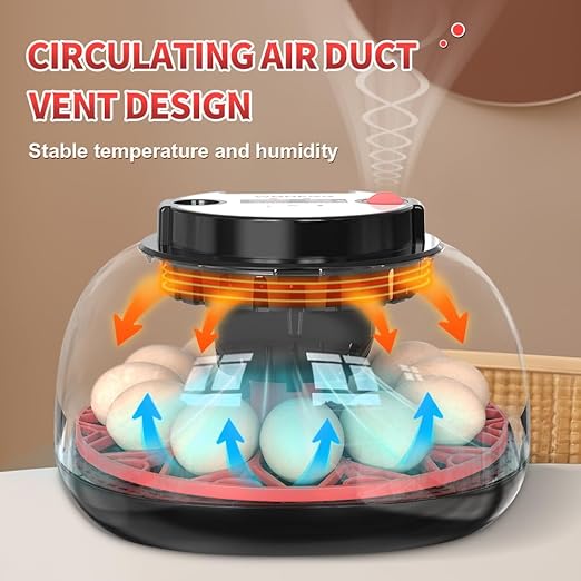 incubators for hatching eggs，12 Egg Incubator,egg incubator with automatic egg turning and humidity control，incubator for chicken eggs，chicken incubators for hatching eggs，egg incubator - Image 5