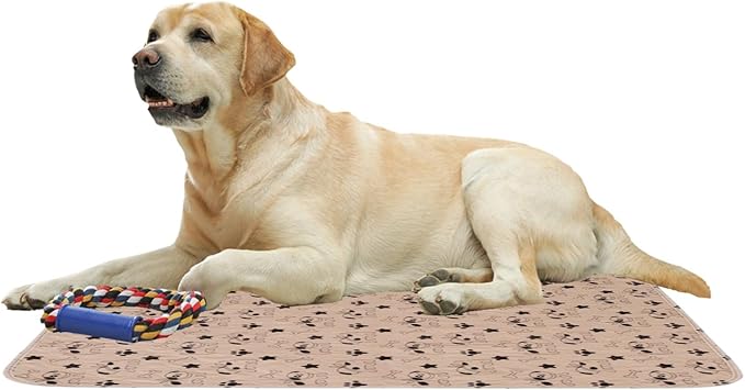 Pee Pads - Fast Absorbent Pet Training Mat, 1 Piece Reusable Washable Absorbent Pee Pads for Feline Hygiene, Pet Gear, Underlay for Cats, Litter Boxes, Playpens, Crates, and Travel Carriers - Image 9