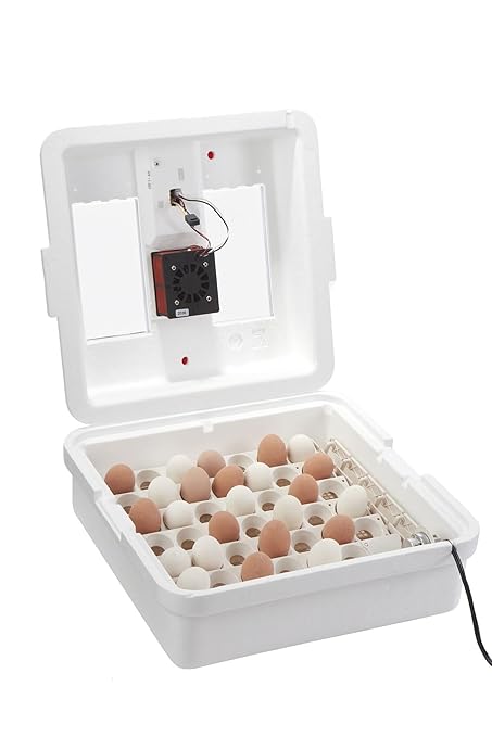 Little Giant® Digital Circulated Air Incubator with Automatic Turner | 41 Egg Capacity | Chick Egg Hatching Incubator with Fan and Egg Turner | Made in USA - Image 6