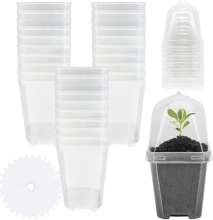 EBaokuup 30PCS Clear Plant Nursery Pots with Humidity Dome - 3" Durable Plastic Gardening Pot with Labels, Small Plant Container for Seedlings/Vegetables/Succulents/Cuttings by EBaokuup