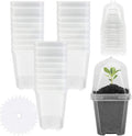 EBaokuup 30PCS Clear Plant Nursery Pots with Humidity Dome - 3" Durable Plastic Gardening Pot with Labels, Small Plant Container for Seedlings/Vegetables/Succulents/Cuttings by EBaokuup