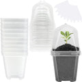EBaokuup 10PCS Clear Plant Nursery Pots with Humidity Dome - 3" Plastic Gardening Pot with Labels, Durable Plastic Plant Container for Seedlings/Vegetables/Succulents/Cuttings by EBaokuup