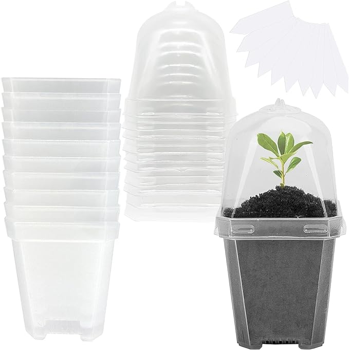 EBaokuup 10PCS Clear Plant Nursery Pots with Humidity Dome - 3" Plastic Gardening Pot with Labels, Durable Plastic Plant Container for Seedlings/Vegetables/Succulents/Cuttings by EBaokuup