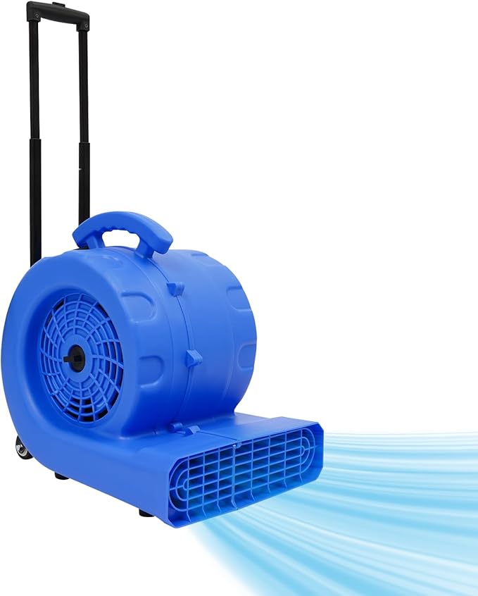 750W Multi-functional Floor Dryer, Powerful All-Copper Motor, 3 Adjustable Speeds & Blowing Angles, 20-120min Timer, 16.4ft Long Cord for Carpet/Floor Drying in Home, Hotel, Mall (Blue) by EurHomePlus