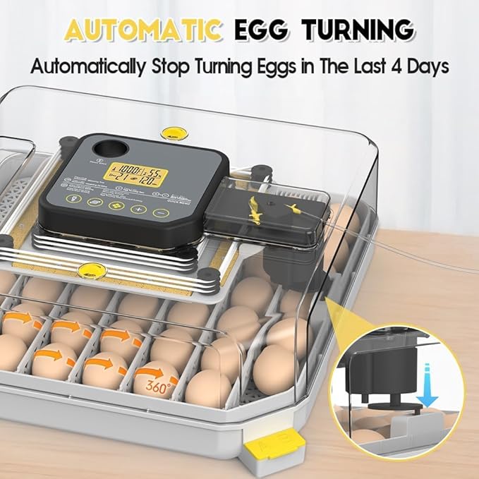 Automatic 48-Egg Incubator for Breeders, Sensor-Based Precise Humidity & Temp Control, Adjustable Egg Spacing, Auto Turn & Auto Stop, Preset Incubation Days, Candler, Chick Separator - Image 5