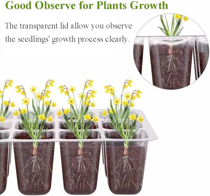 Seed Starter Tray Kit, 3-Pack Plant Growing Trays with Humidity Dome and Base, Labels and Hand Tool Kit for Seed Starting, Germination and Seedling Propagation (12 Cells per Tray) - Image 3