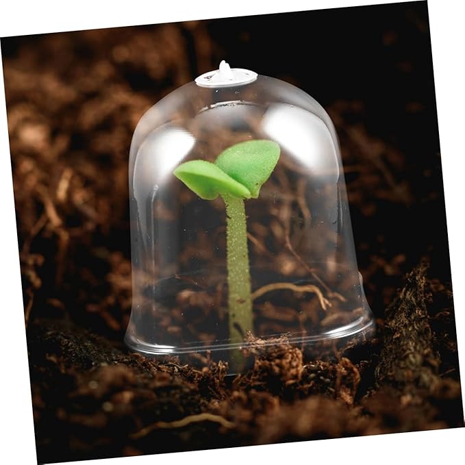 Mipcase 12pcs Dome Plant Covers Reusable Garden Cloche for and Flower Pot Humidity Preservation for Indoor and Outdoor Use - Image 4