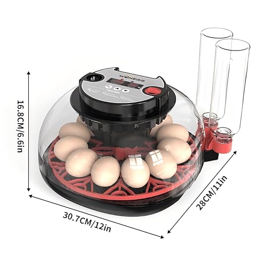 incubators for hatching eggs，12 Egg Incubator,egg incubator with automatic egg turning and humidity control，incubator for chicken eggs，chicken incubators for hatching eggs，egg incubator - Image 8