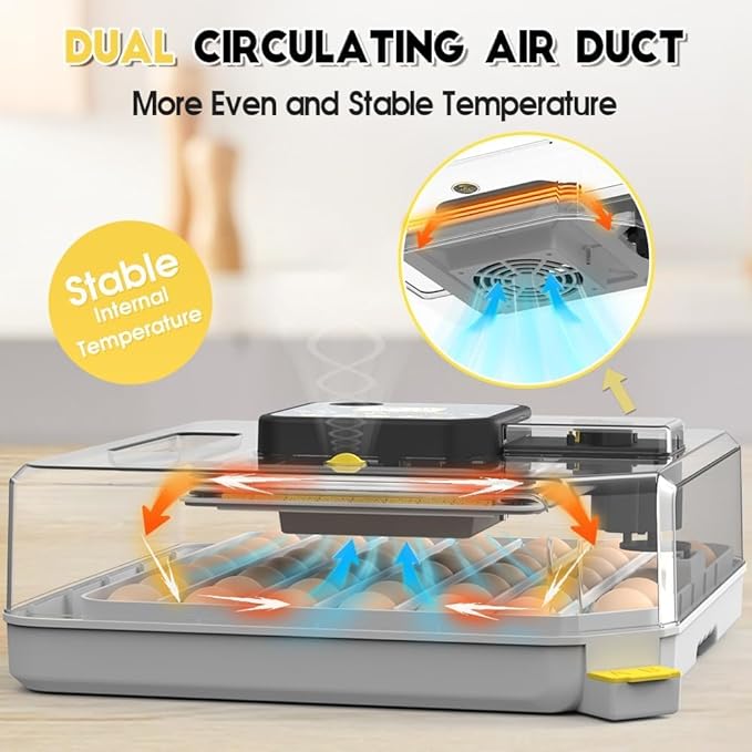 Automatic 48-Egg Incubator for Breeders, Sensor-Based Precise Humidity & Temp Control, Adjustable Egg Spacing, Auto Turn & Auto Stop, Preset Incubation Days, Candler, Chick Separator - Image 4