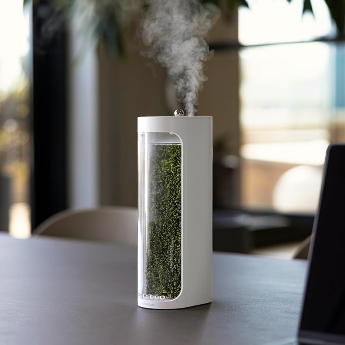 Moss Air – Living Moss Terrarium Humidifier | Soothing Mist Fountain & Ambient Light | Zen Desk Decor, Aesthetic Room Decor | Portable & Whisper-Quiet by mosslab