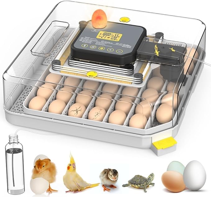 Automatic 48-Egg Incubator for Breeders, Sensor-Based Precise Humidity & Temp Control, Adjustable Egg Spacing, Auto Turn & Auto Stop, Preset Incubation Days, Candler, Chick Separator by ZEMIROCHARGE