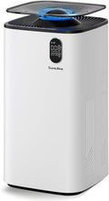 Evaporative Humidifier with Auto Humidity Control, 6L Water Tank with Top-Fill Access, Mist-Free Design, Humidification with Warm Air, Wheels & Filter Reminder for Home Use by WherePuritymeetsComfort