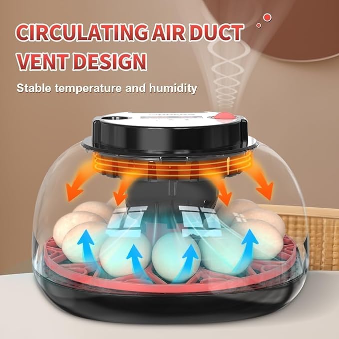 Explore+ 12 Egg Incubator for Beginners, Multi-Level Adaptive Humidity (Auto-Refill & Dual-Bottle) & Stable Temp Control, Auto Egg Turning, Real-Time Display, Candler for Hatching Poultry Eggs - Image 5