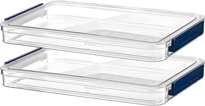2 Pcs Plastic Portable Project Case, Clear Stackable Storage Boxes Organizer for A4 Files, Scrapbooks, Art Supplies (‎Blue Latch, Small) by RHONZHAO