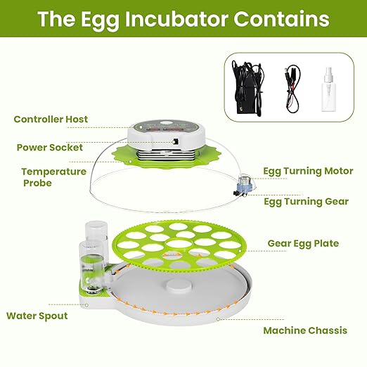18-Egg Incubator incubators for Hatching Eggs with Automatic Egg Turning & Humidity Control, Transparent HD Panoramic Viewing & Candler Fertile for Farms, Science, classrooms, Homes Chickens Ducks - Image 8