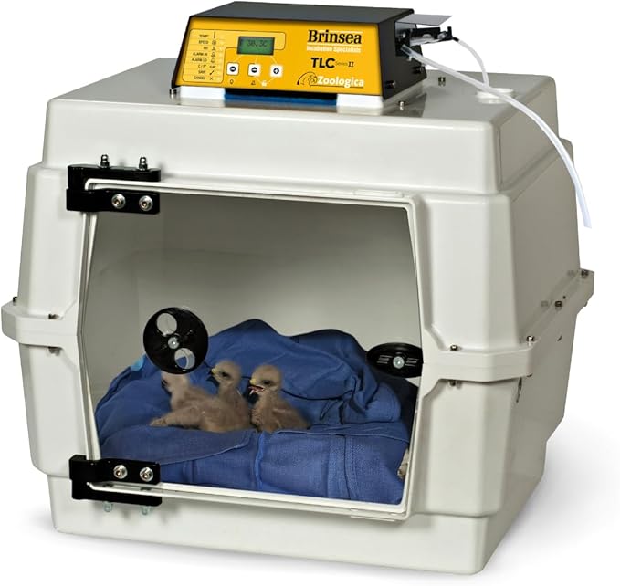 Brinsea TLC-40 Zoologica II Bird Brooder & Pet Recovery Incubator with Humidity Control for Sick Animals, Ideal for Large Birds, Newborn Puppies, Kittens, and Small Animals by BrinseaProductsInc