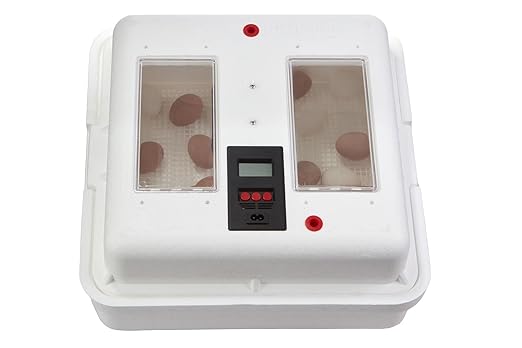 Little Giant® Digital Circulated Air Incubator | 41 Eggs | Egg Incubator with Fan, Temperature and Humidity Control | Hatching Eggs - Image 5