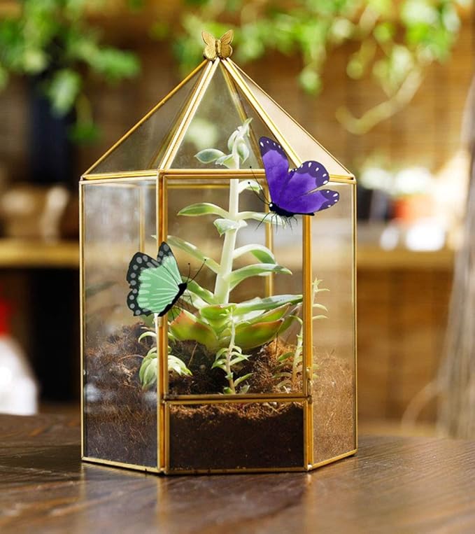 ELEGANTLIFE Glass Geometric Plant Terrarium,Succulent & Air Planter for Home Garden Office Decoration,No Plants(Gold Hexagonal) - Image 6