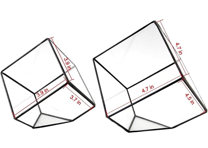 ELEGANTLIFE Glass Geometric Plant Terrarium Container, Flower Pot Tabletop Planter Decor Glass Display Box Succulent & Air Planter for Home Garden Office Decoration(Black Cubic Set of 2) - Image 4