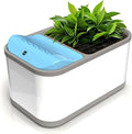 Eva-Dry Dewplanter Compact 2-in-1 Dehumidifier & Self-Watering Indoor Planter - Dehumidify Small Spaces While You Grow Your Favorite Small Plants, Herbs, and Succulents by EVADRY