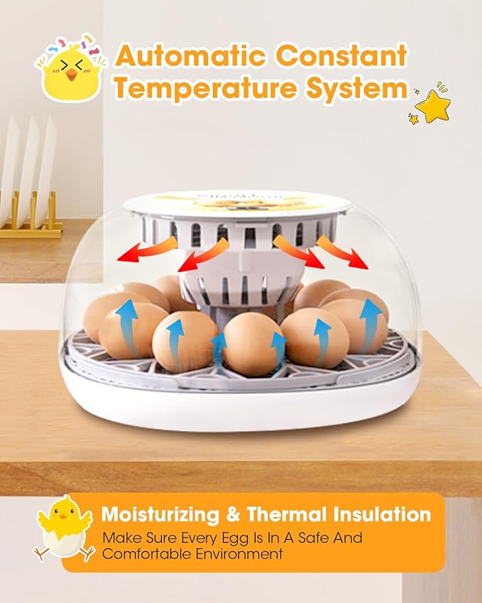 Incubators for Hatching Eggs, Chicken Waterer Cups, Automatic Egg Turner Holds 12 Eggs, Smart Incubator 360° Clear Window with Temperature Display Egg Candler for Small Poultry Chickens Ducks Quails - Image 8