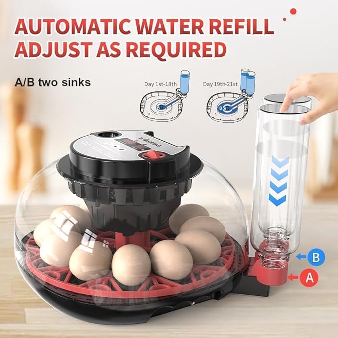 Explore+ 12 Egg Incubator for Beginners, Multi-Level Adaptive Humidity (Auto-Refill & Dual-Bottle) & Stable Temp Control, Auto Egg Turning, Real-Time Display, Candler for Hatching Poultry Eggs - Image 3