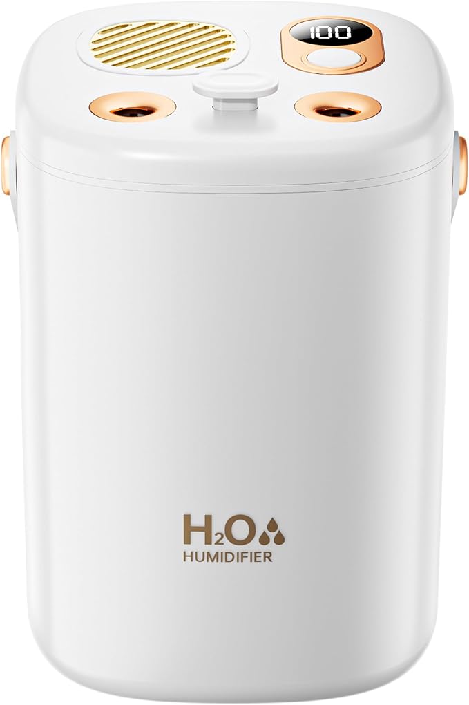1L Cool Mist Ultrasonic Humidifier - Quiet Air Humidifier with Auto Shut-Off/Waterless Protection for Bedroom Home Office Plants, Small Large Capacity for Dry Air by ALIANSHENG