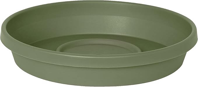 Bloem Terra Resin Saucer Tray: 8" Bottom Width - Matte, Durable, Ribbed Bottom, Indoor and Outdoor, Fits 10" Terra Pots, Living Green by Bloem