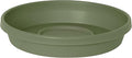 Bloem Terra Resin Saucer Tray: 11.25" Bottom Width - Matte, Durable, Ribbed Bottom, Indoor and Outdoor, Fits 14" Terra Pots, Living Green by Bloem