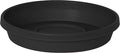 Bloem Terra Resin Saucer Tray: 8" Bottom Width - Black - Matte, Durable, Ribbed Bottom, Indoor and Outdoor, Fits 10" Terra Pots by Bloem