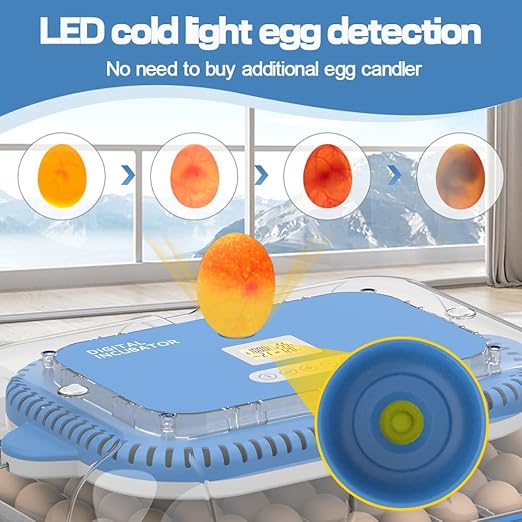 HOWOOlUA 70 Egg Incubator for Hatching Eggs withAuto Turn, Temp & Humidity Control, Built-in CandleLarge Capacity Egg Incubator for Chicken Duck Goose Eggs - Image 5