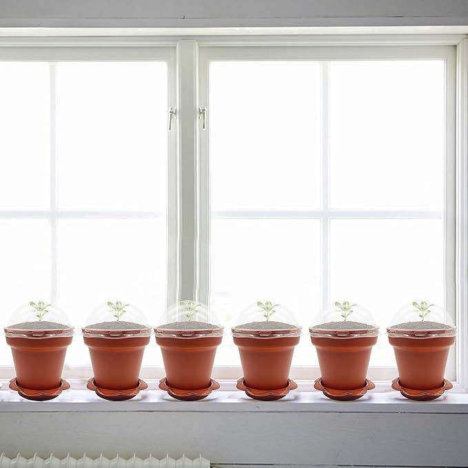 50 Packs Cupcake Plant Nursery Pots with Humidity Dome- Planting Containers Cups- Small Flower Pots with Trays & Lids for Indoor Outdoor Seedling Succulent Vegetable (Wine Red) - Image 4