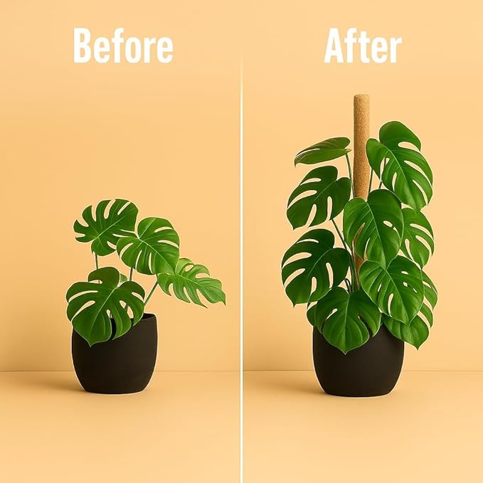Moss Pole Monstera Plant Support – 48” Bendable Moss Pole Monstera Plant Support, Plant Stakes for Indoor Plants, Tall Plant Sticks Support for Climbing Plants - Image 7