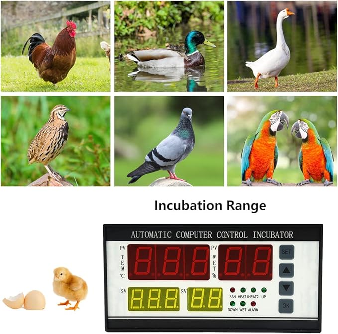 Automatic Control System for Egg Incubator Machine and Temperature and Humidity Control Machine (XM-18ZP) - Image 6