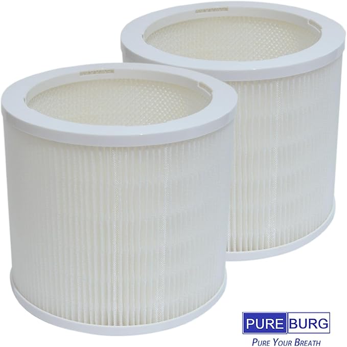 PUREBURG AS05FT-2 Replacement Filters Compatible with DH Lifelabs Aaira + Humidifier Hydrating Dry Air Purifier, 2-Pack - Image 6