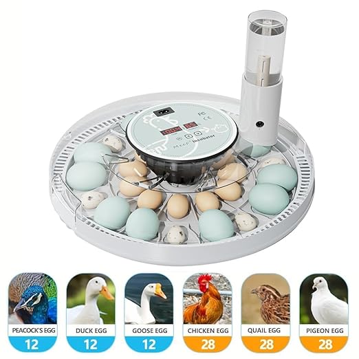 MeeF incubators for Hatching 28 Eggs,Independent atomizing humidifier, Auto Flip, Additional Equipped Well as Duck and Goose Egg Trays That can Hold 12 Eggs.(White) - Image 7