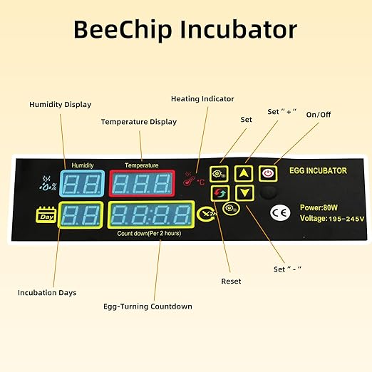 Egg Incubator for Hatching Eggs, Automatic Egg Turner & Digital Humidity Control, 56 Egg Capacity, Clear Temperature Display, Externa, 360° Clear Viewing for Poultry, Ducks, Quail (48-56 Eggs) - Image 3