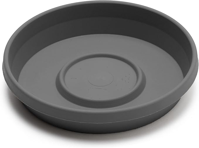 Bloem Terra Resin Saucer Tray: 15" Bottom Width - Charcoal Gray - Matte, Durable, Ribbed Bottom, Indoor and Outdoor, Fits 20" Terra Pots - Image 7