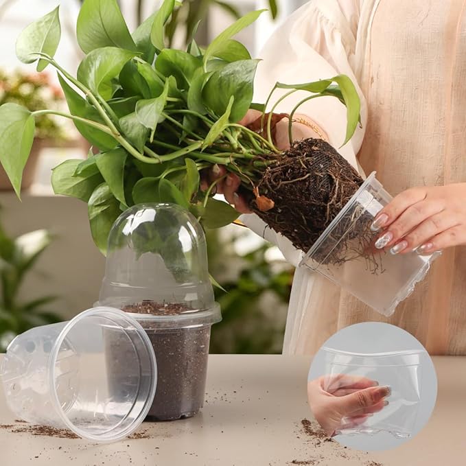 Transparent Nursery Pots 4Inch with Humidity Domes for Seeds Starting, Clear Plastic Plant Pots with Drainage Holes (4Inch, 30Pcs,Clear Pots with Lids) - Image 6