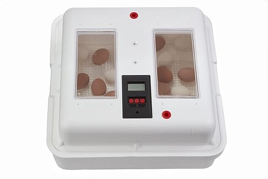 Little Giant® UL Circulated Air Incubator with Automatic Turner | Fits 41 Large Eggs | Chick Egg Hatching Incubator with Fan and Temperature and Humidity Control | Made in USA - Image 2