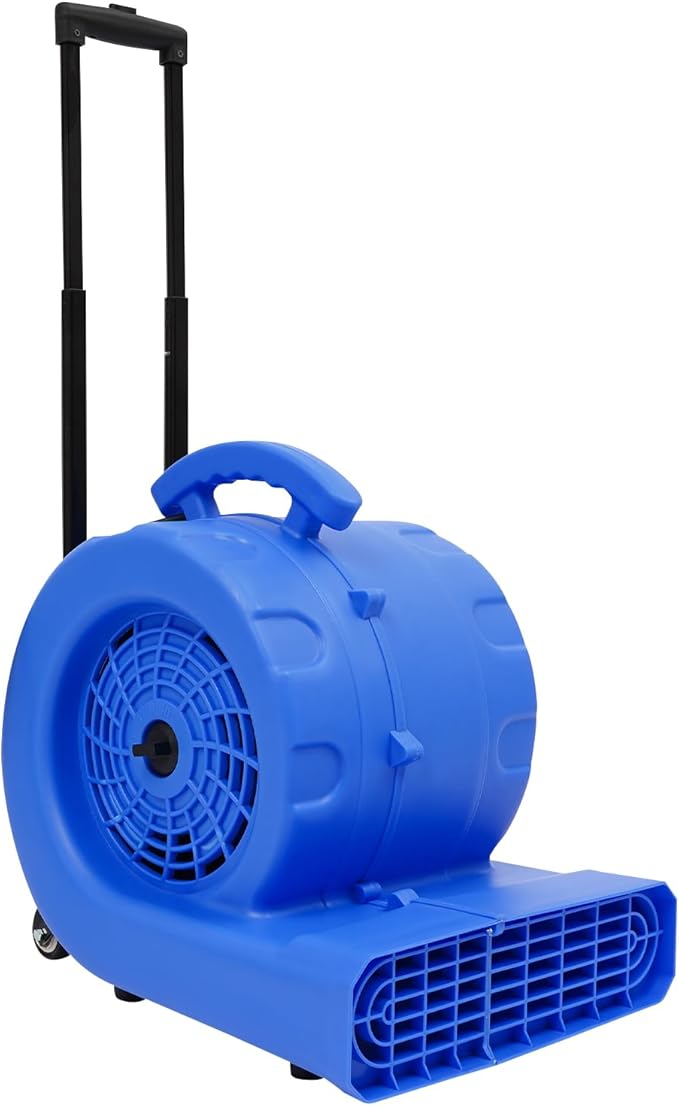 1HP Air Mover, 6-Hours Timer Carpet Dryer, Floor Drying Fan with 3 Speeds/3 Adjustable Angles/16.4 Ft Power Cord, 2300 CFM, Blue by WENBINGSHOP