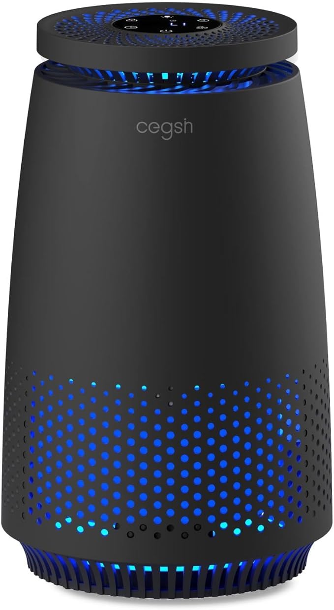 Air Purifiers for Home Bedroom, 3-in-1 HEPA Filter for Pets Dander Dust Pollen Smoke Odors, Quiet Air Cleaner with Sleep Mode, 12H Timer, Night Light, Aromatherapy, Safety Lock, Black by MeansSimpleLife