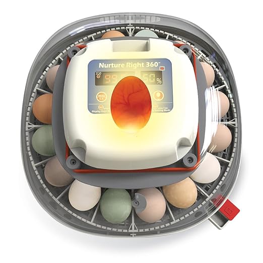 Harris Farms Nurture Right Egg Incubator for Hatching Chicks, Holds 12-22 Eggs, Automatic Turner with Temperature and Humidity Control, 360 Degree View with Clear Window, Incubator for Chickens - Image 6