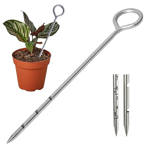 Soil Probe 10 Inches Moisture Meter for Plants, Soil Moisture Sampler with Dual Scale Markings, House Plant Water Monitor No Batteries Required by Lichtund