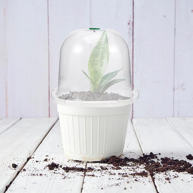 Mikikit Garden Cloche Dome Seedling Cover Plant Humidity Dome Nursery Protector with Air Vent Transparent Grow 10.23X10.23X7.87In - Image 7